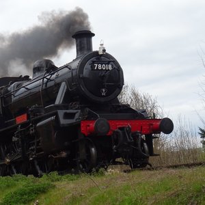 78018 (The Standard)